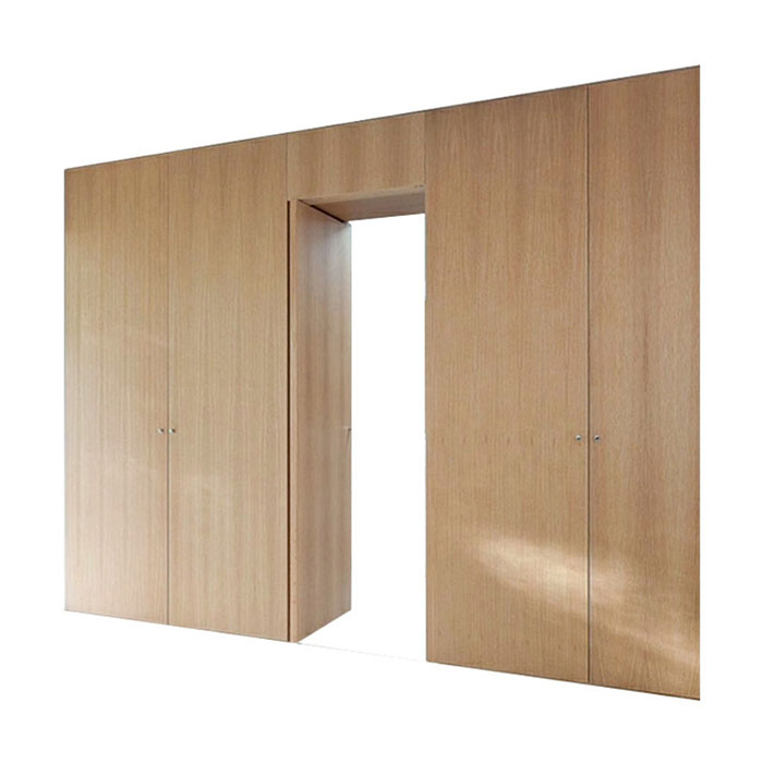 Concealed Hidden Door