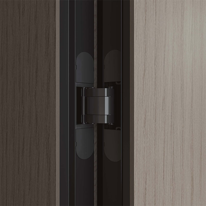 Concealed Hidden Door