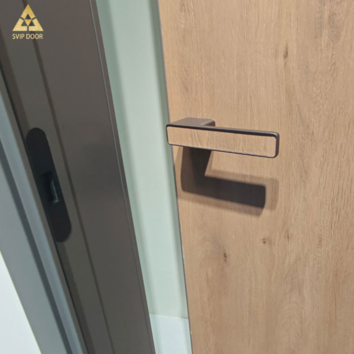 Modern Aluminum Wood Doors