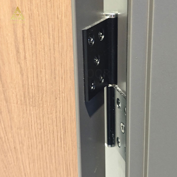 Modern Aluminum Wood Doors