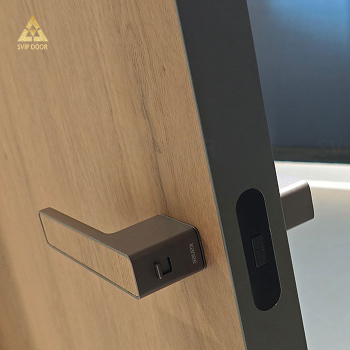 Modern Aluminum Wood Doors